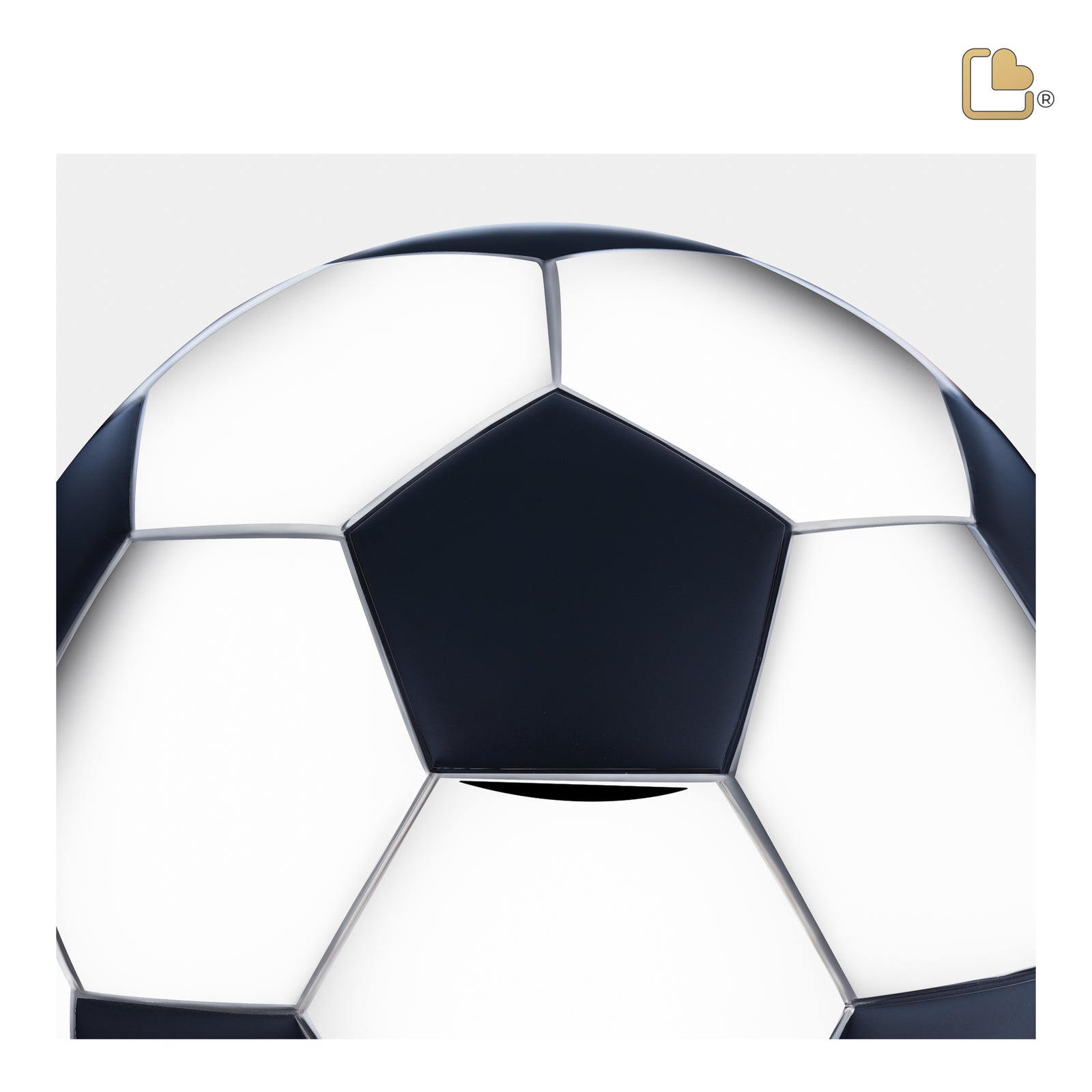 A1150 Football Standard Adult Urn Matt Black & Pol Silver