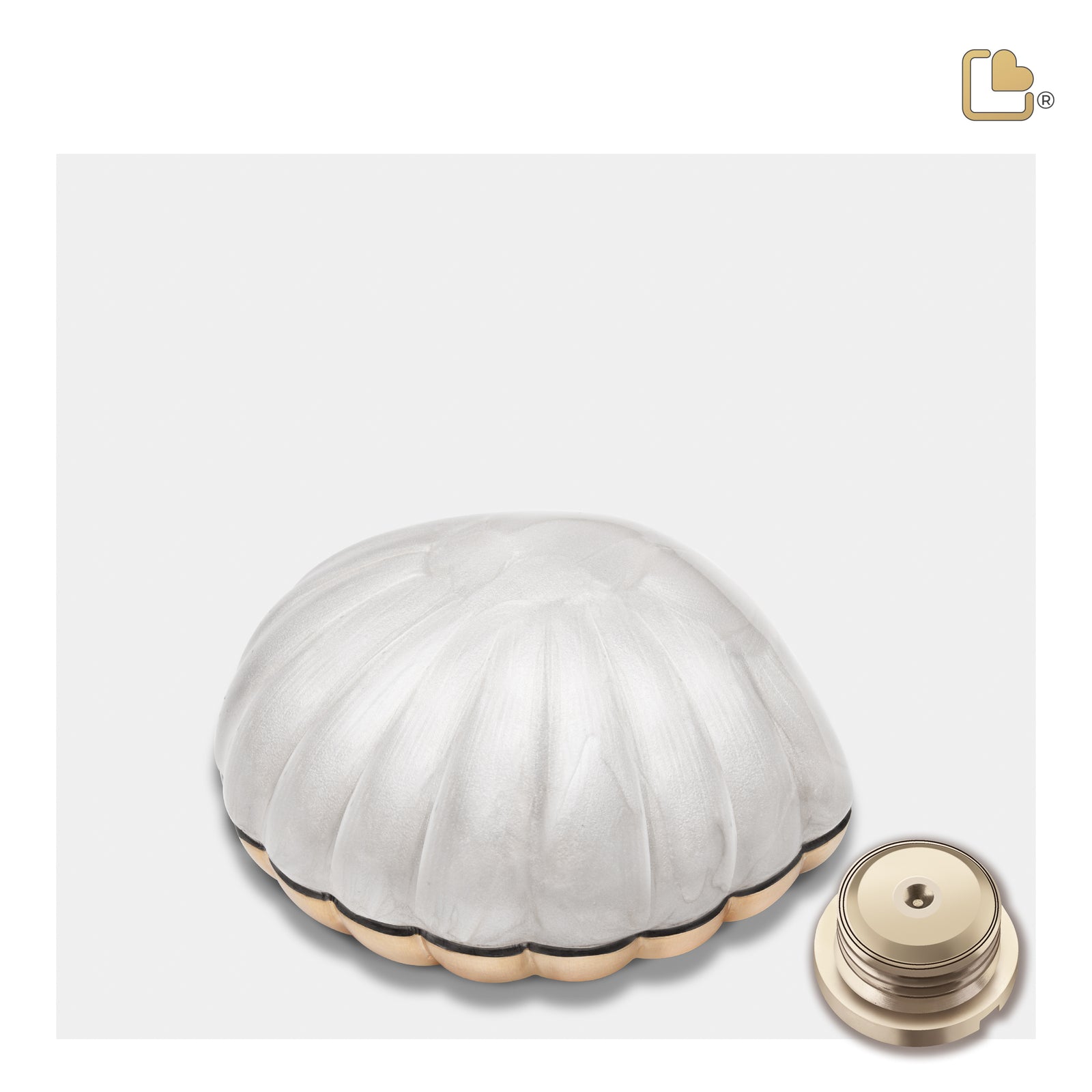 K641 Shell Keepsake Urn Pearl White & Bru Gold