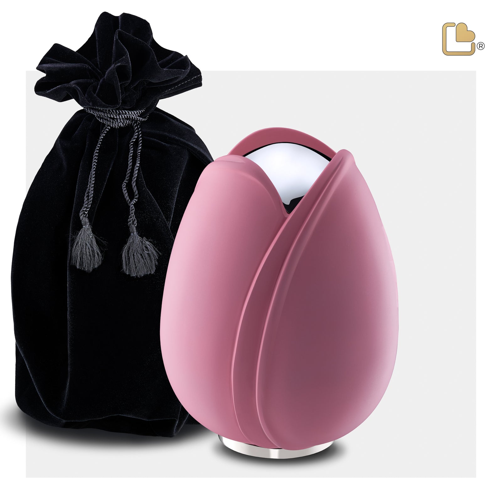 M1053 Tulip Medium Urn Pink & Pol Silver