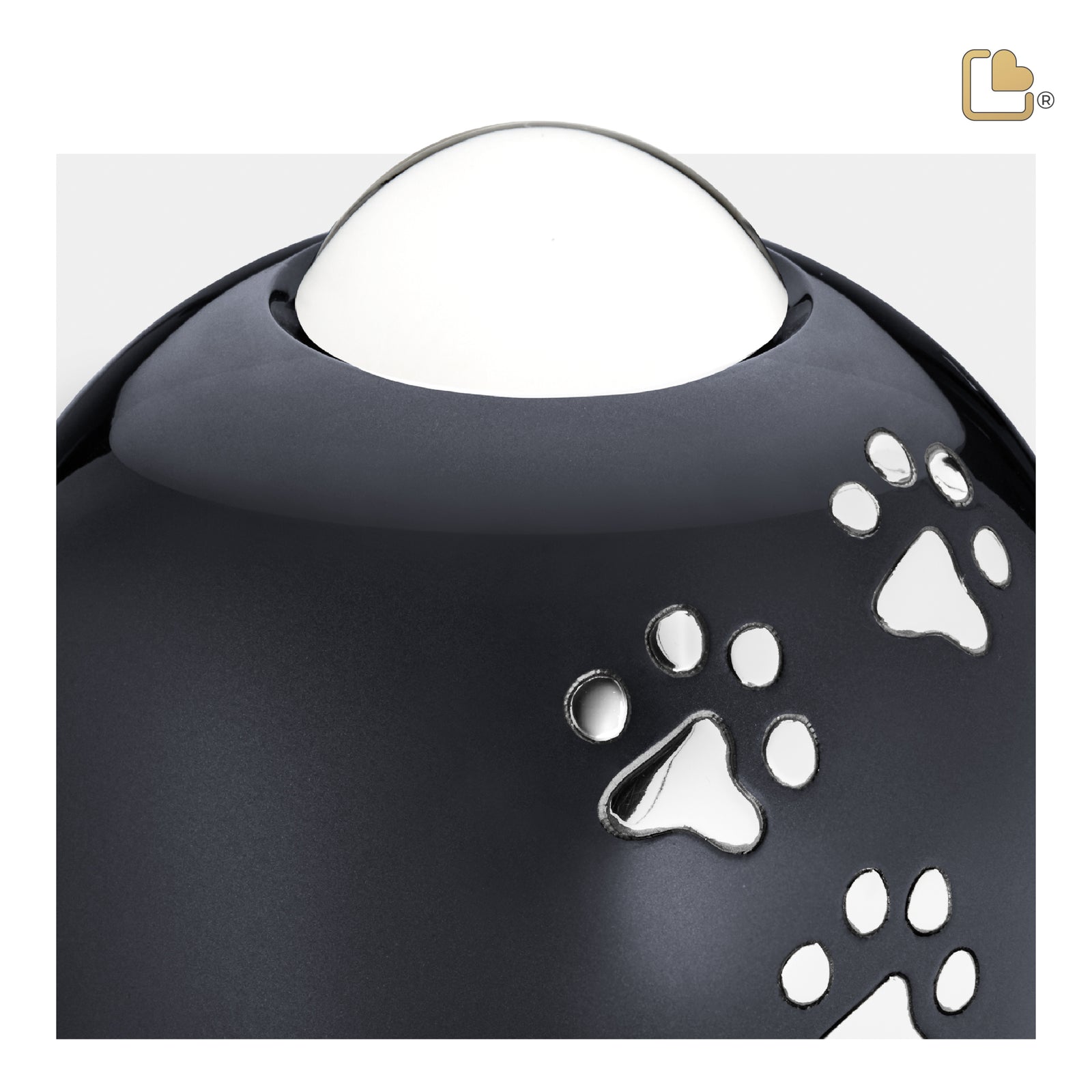 P636M Adore Medium Pet Urn Midnight & Pol Silver