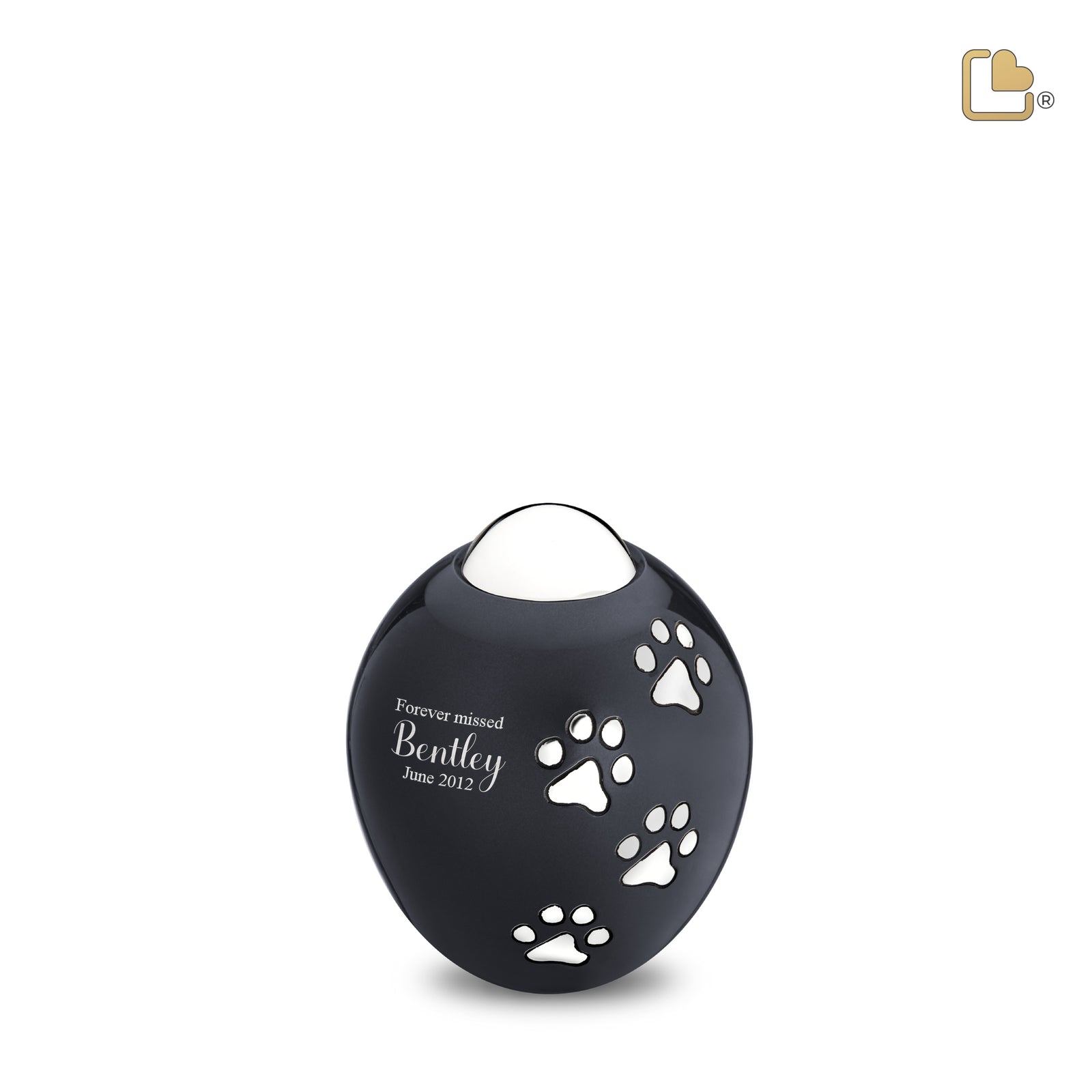 P636S Adore Small Pet Urn Midnight & Pol Silver