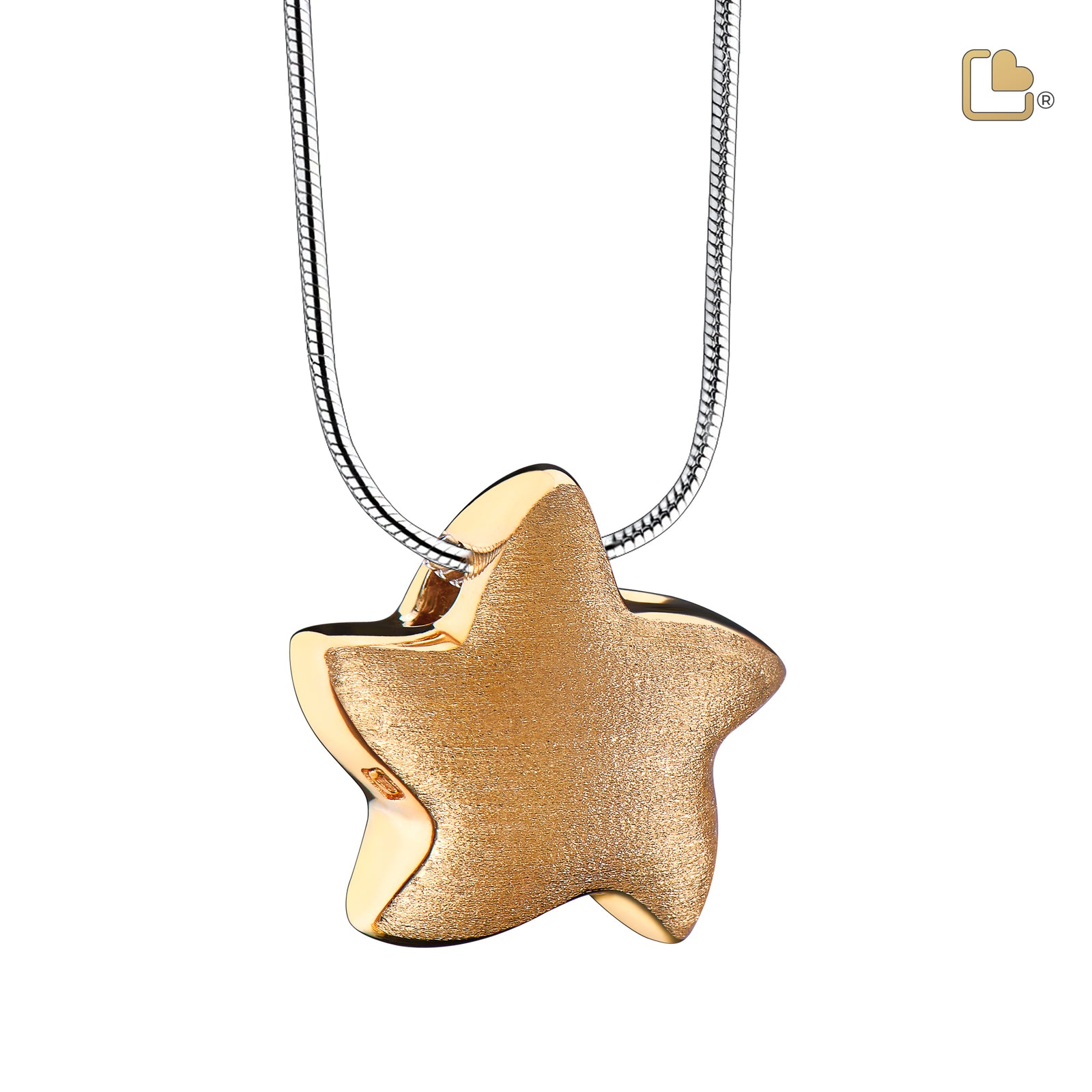 PD1031 Angelic Star Ashes Pendant Bru Gold Vermeil