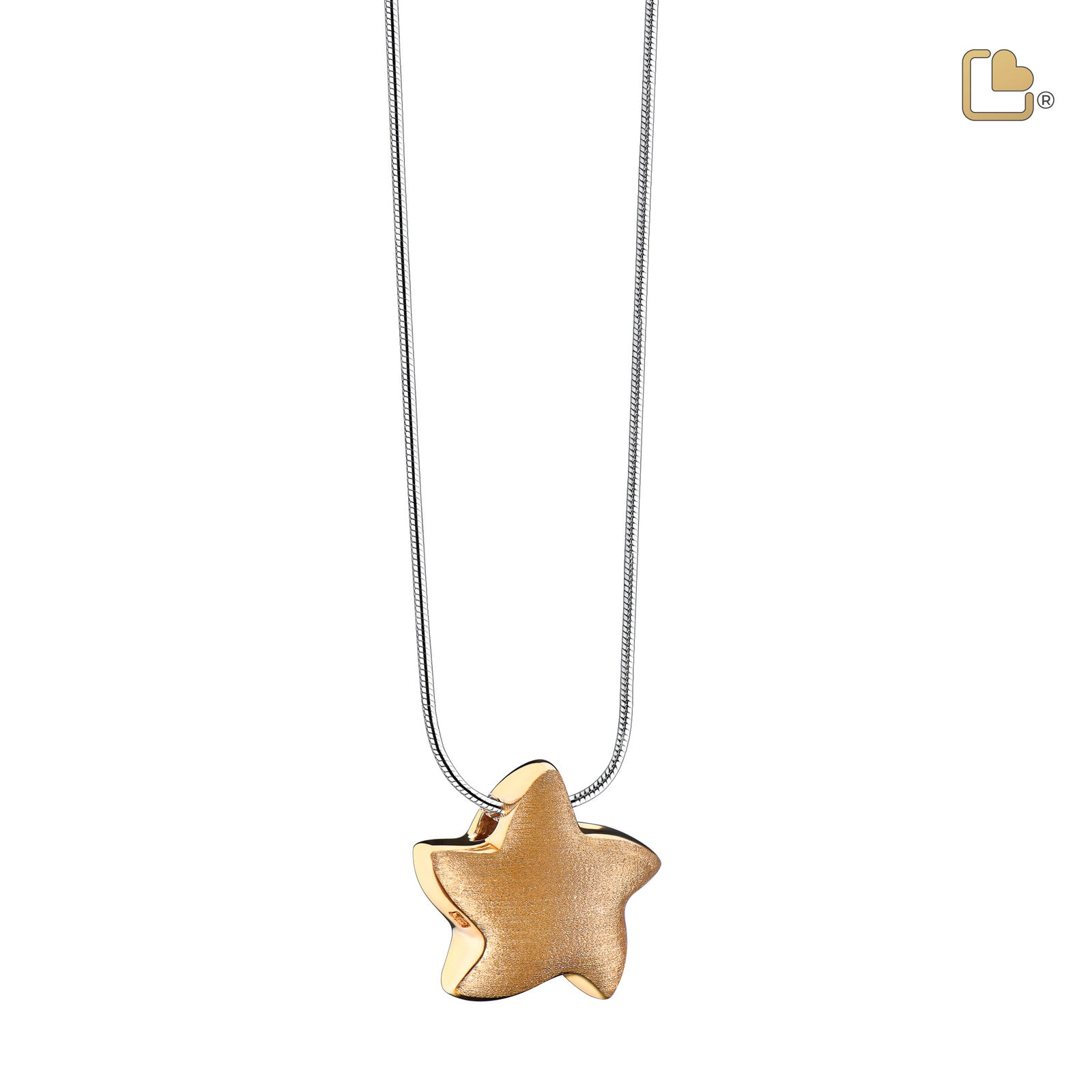 PD1031 Angelic Star Ashes Pendant Bru Gold Vermeil