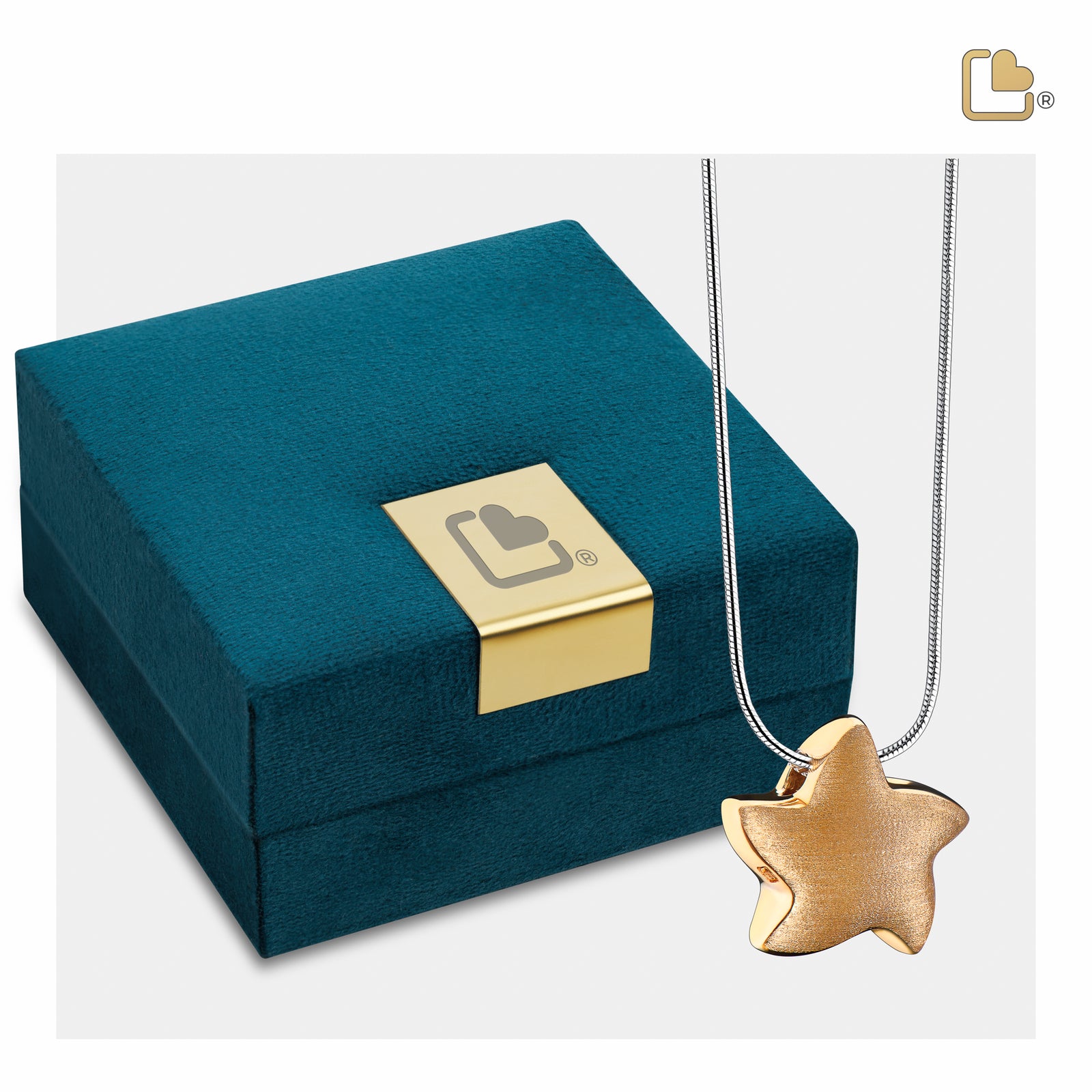 PD1031 Angelic Star Ashes Pendant Bru Gold Vermeil