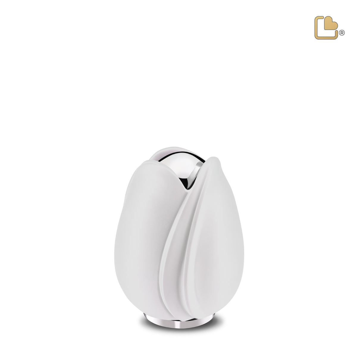 K1055   Tulip Keepsake Urn White &amp; Pol Silver